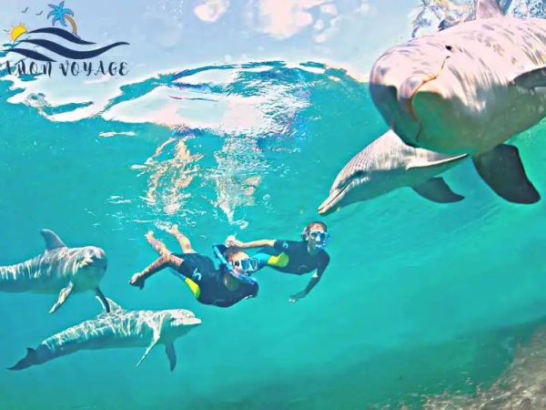 Hurghada-Maison-des-Dauphins-excursion-en-egypte-amonvoyage