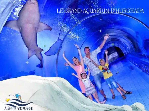 Le-Grand-Aquarium-d'Hurghada