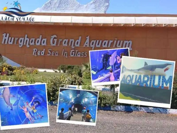 Le-Grand-Aquarium-dHurghada-amonvoyage