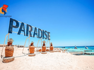 Voyage de plongée en Apnée à l'île paradisiaque