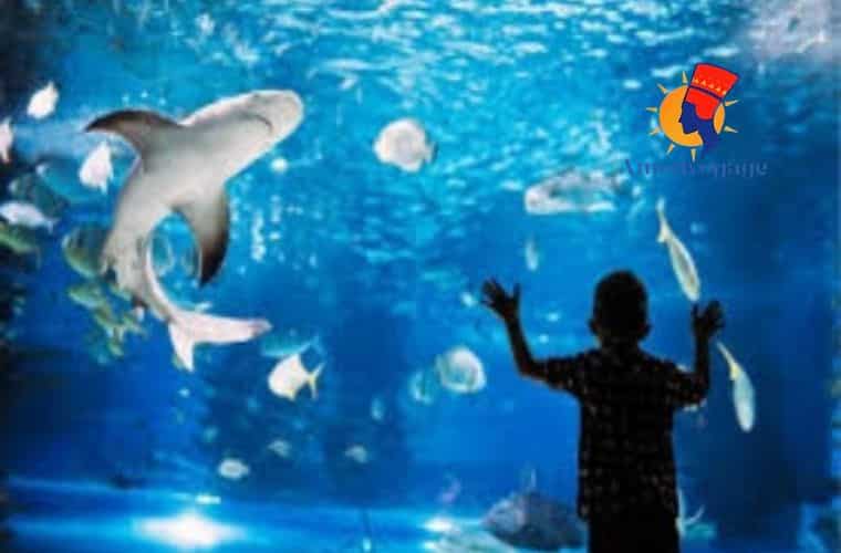 grand aquarium hurghada