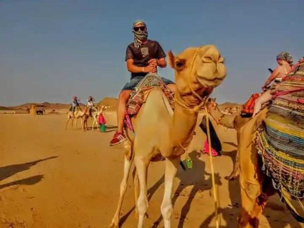 balade-a-dos-de-chameau-Hurghada-prix-excursion-safari