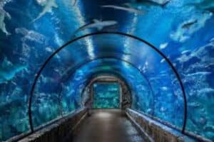 grand aquarium