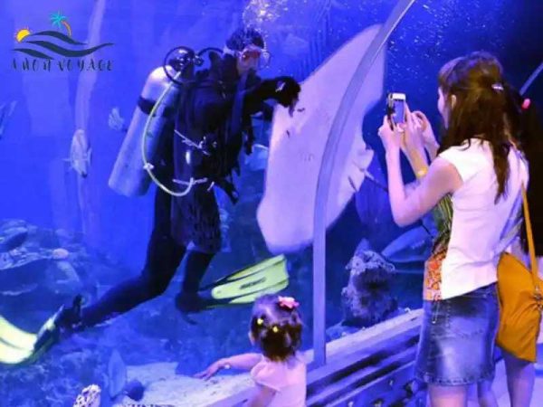 le-prix-du-billet-du-grand-aquarium-d'Hurghada