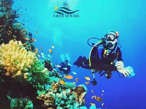 plongee-hurghada-plongee-mer-rouge-voyages