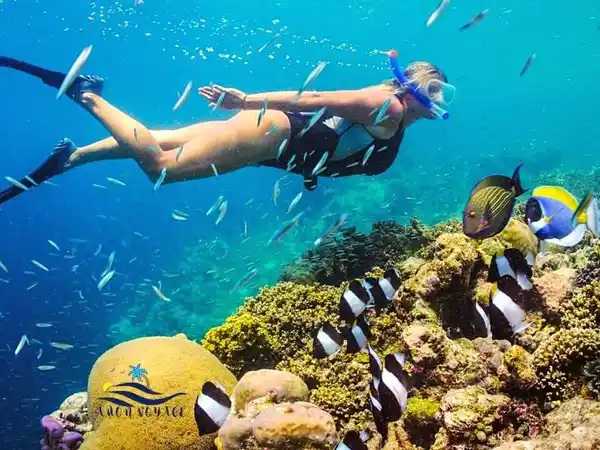 voyages-en-mer-rouge-excursions-en-mer-rouge-balades-en-mer-rouge-excursions-a-Hurghada-amonvoyage