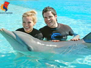 Photos avec dauphins | image sur les dauphins