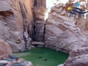Excursion d'une journée à Wadi Wesh Wash