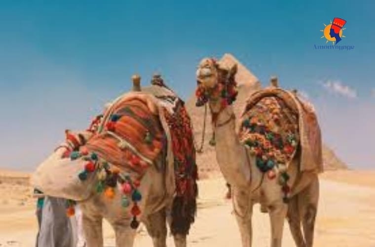 Excursion d’une journée aux pyramides de Gizeh, Sphinx et balade en quad