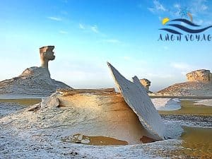 Safari dans le désert blanc et l'oasis d'El Bahariya avec nuitée