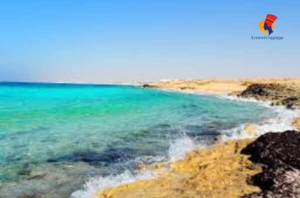 Tour Privé d’Alexandrie à El Alamein