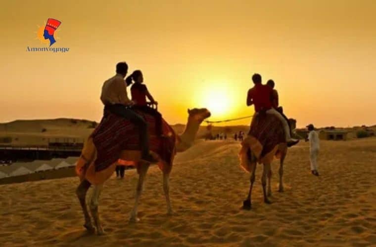 Balade à Cheval dans le Désert de Charm El Cheikh