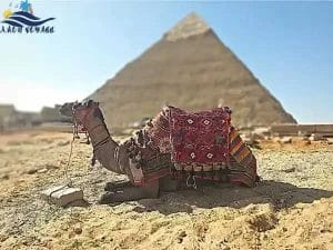 Excursion de 2 jours en bus à Caire depuis