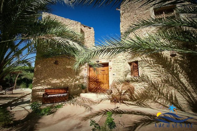 Attraction de l'oasis Siwa