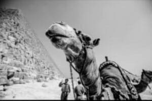 pyramides- (1)