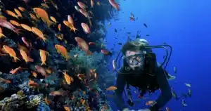 Plongée Sous-Marine à Marsa Alam