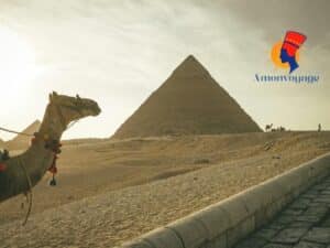 Pyramides de Gizeh | Saqqarah