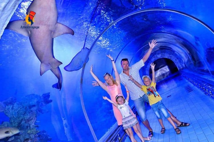 grand aquarium Hurghada