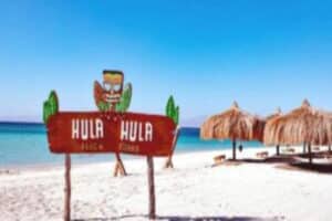 HULA-HULA