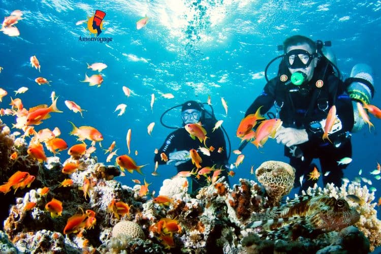 Plongée à Hurghada