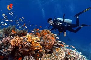 Excursions à Marsa Alam