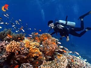 Excursions à Marsa Alam